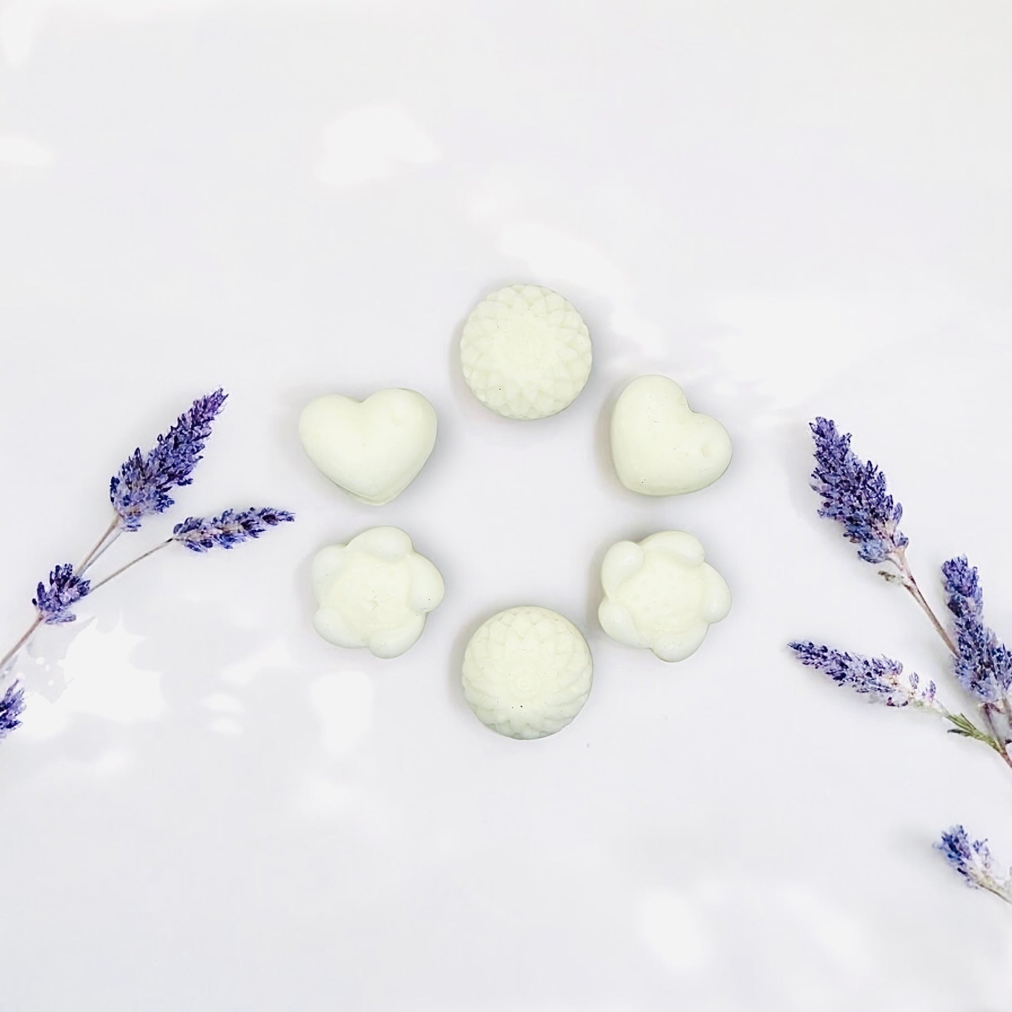 Serenity (Box of 6 individual aromatherapy wax melts)