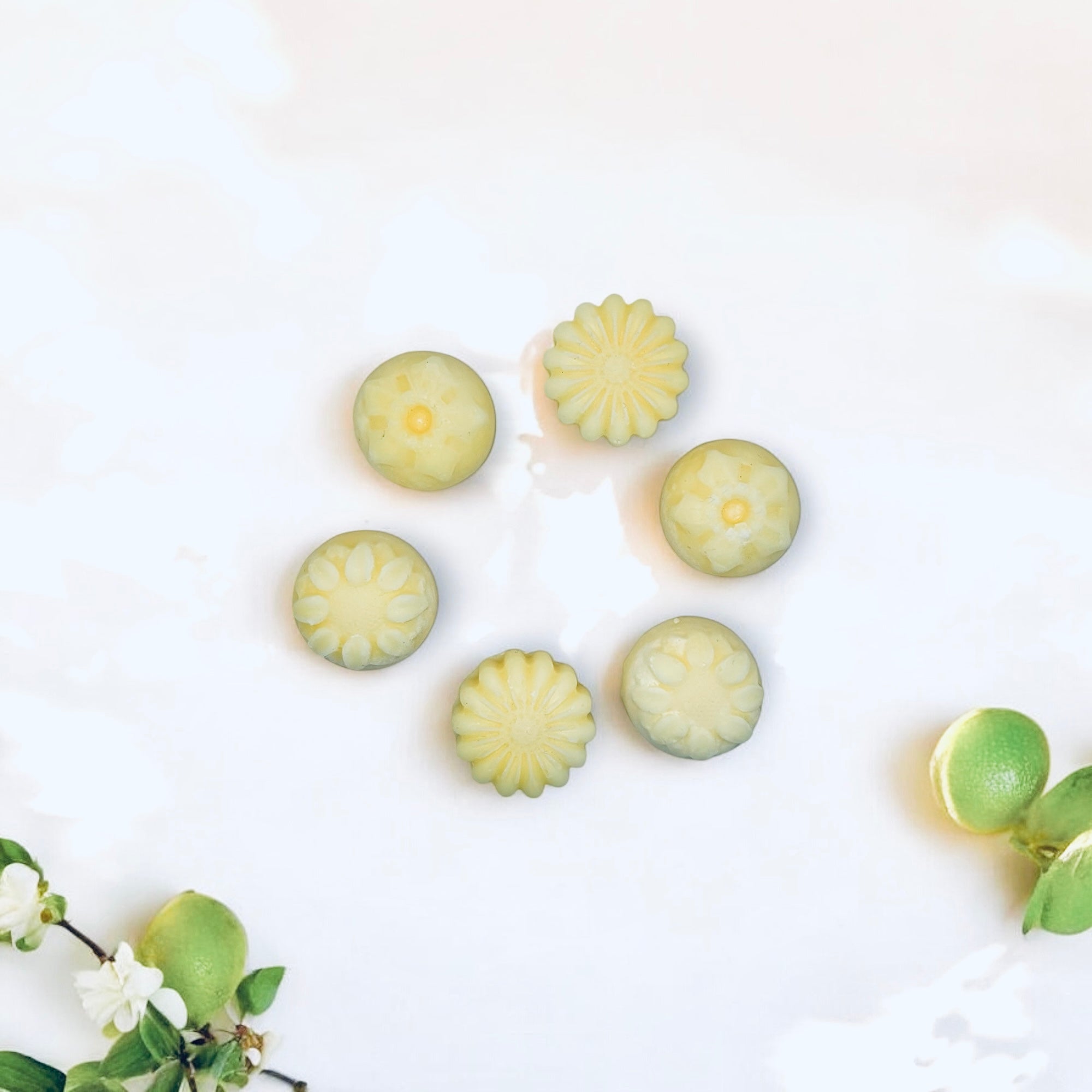 Rainforest Dawn (Box of 6 individual aromatherapy wax melts)