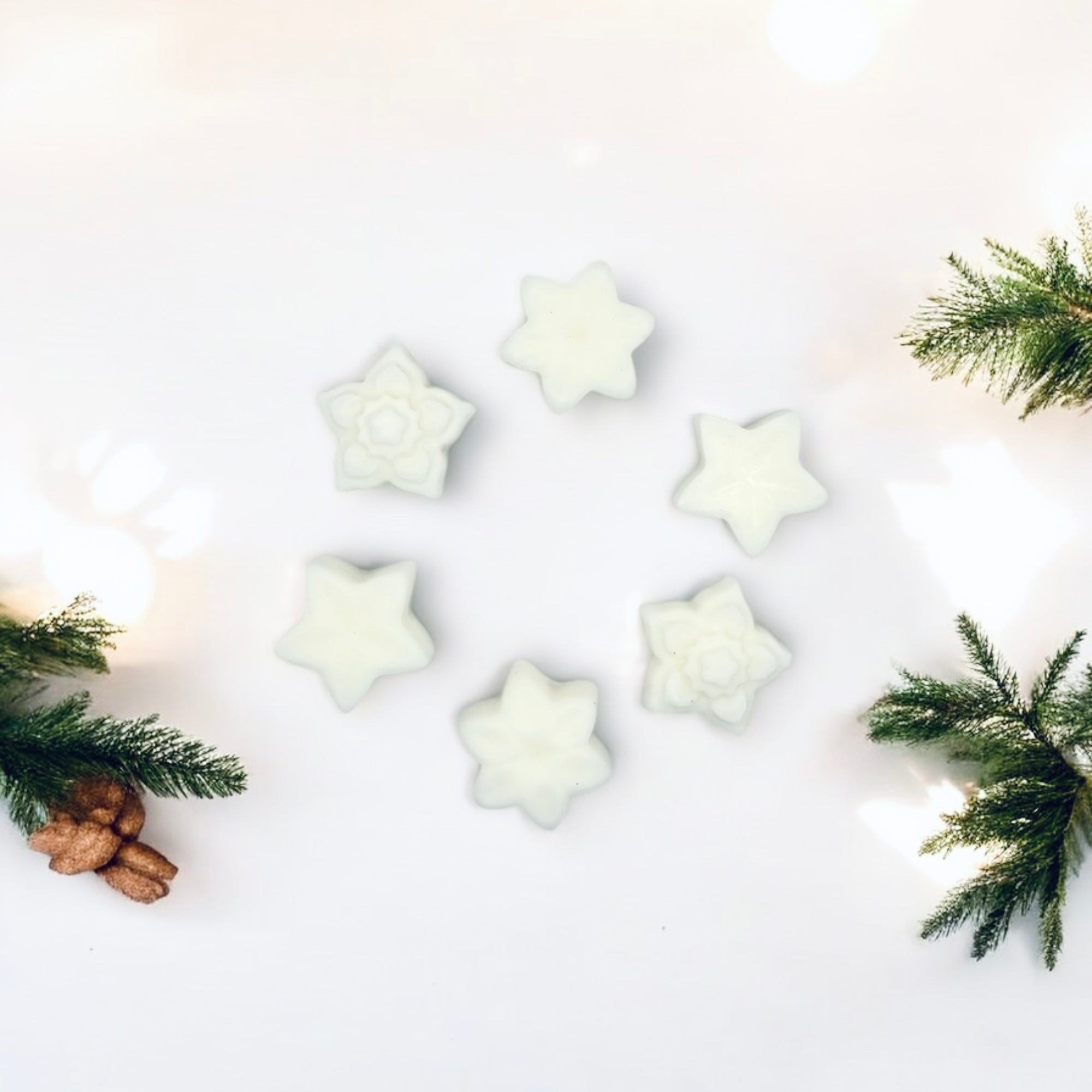 Woodland Whispers (Box of 6 individual aromatherapy wax melts)